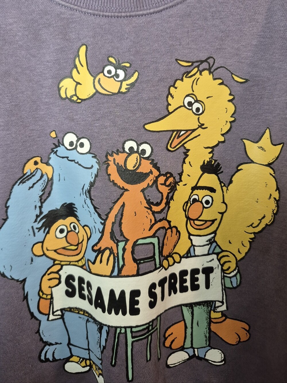 H&M X Sesame Street Colab Unisex Graphic Sweatshirt Purple 4t Front&Back Design
